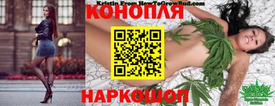 мдпв Нальчик