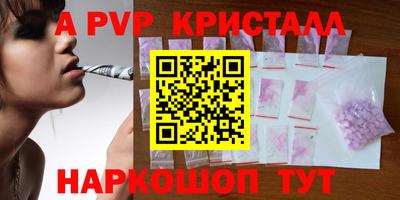 СК Моздок