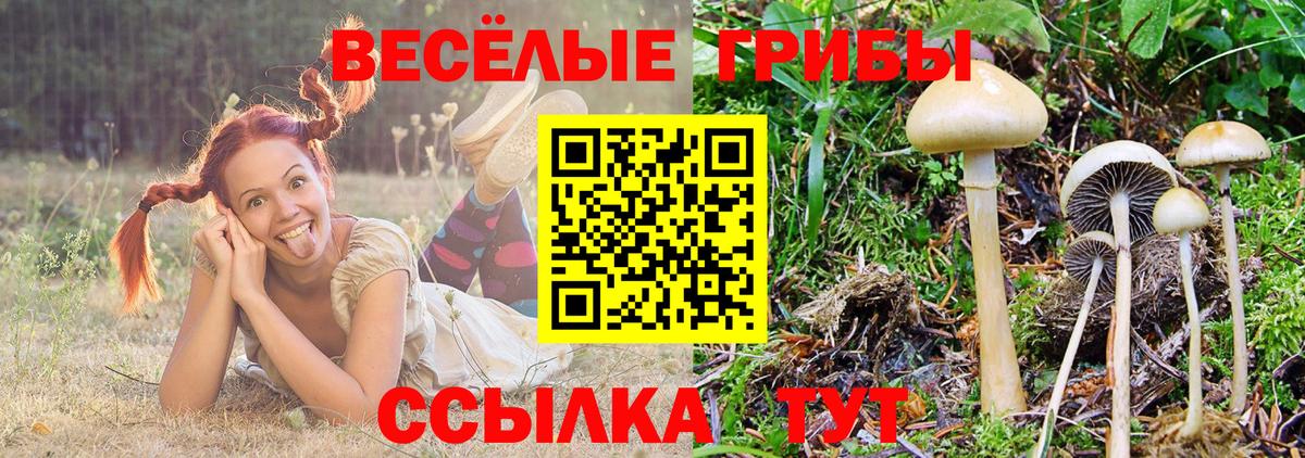 Галлюциногенные грибы MAGIC MUSHROOMS Дмитров