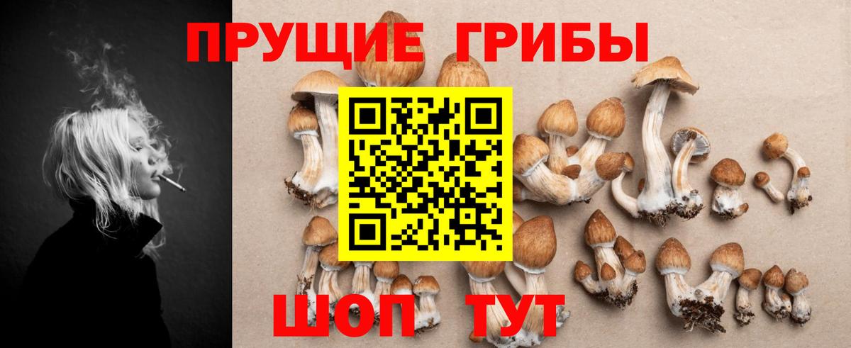 Псилоцибиновые грибы Cubensis  Вход с VPN  Дмитров 